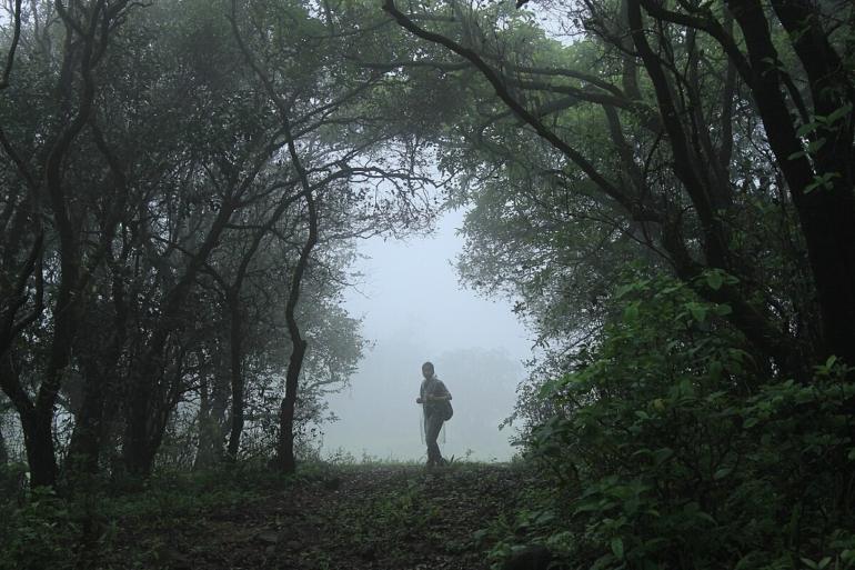 monsoon in himachal