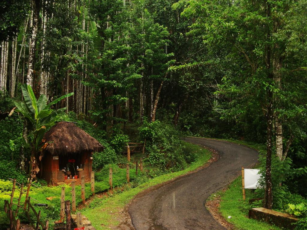 Rain-drenched rainforest, and misty landscapes in Agumbe, Karnataka, Hill Station during monsoon