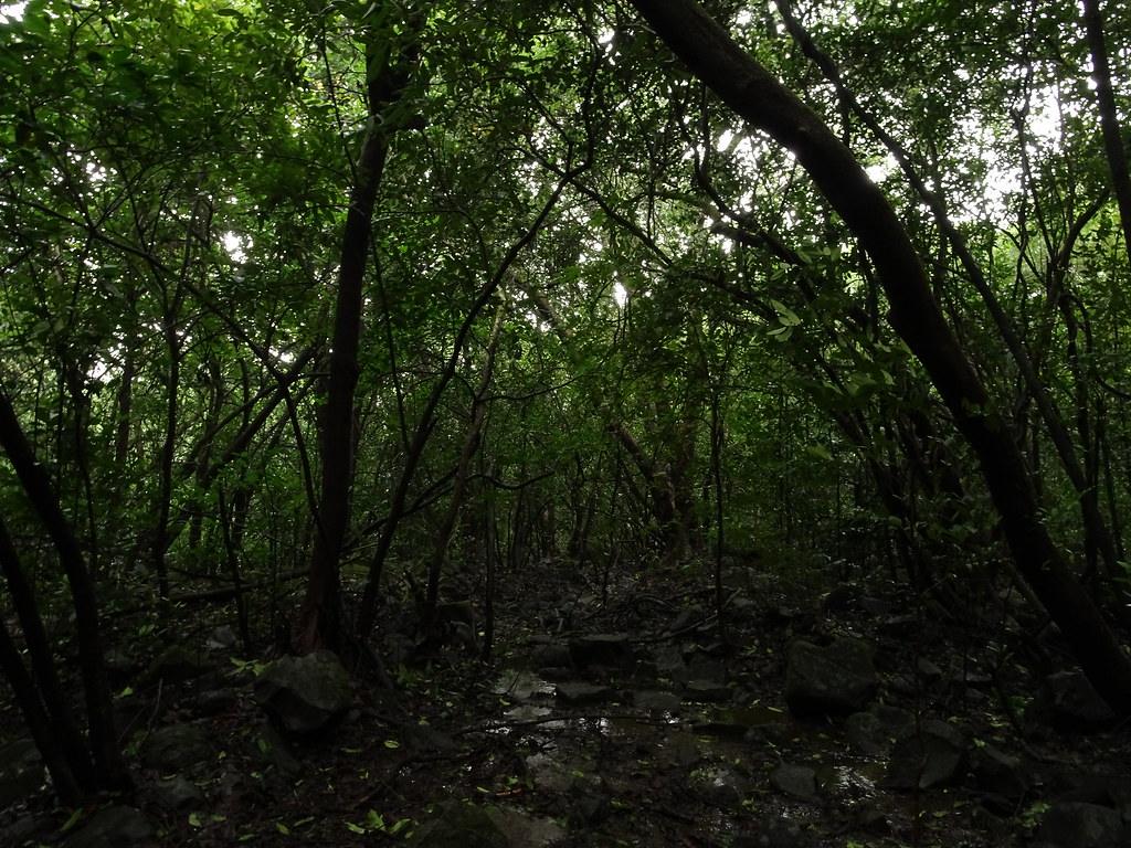 Image Credit: Shreyas Dhurat via Flickr