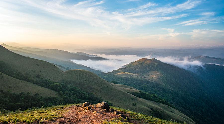 Image Credit: TanmoyAcherjeePhotography via shutterstock
