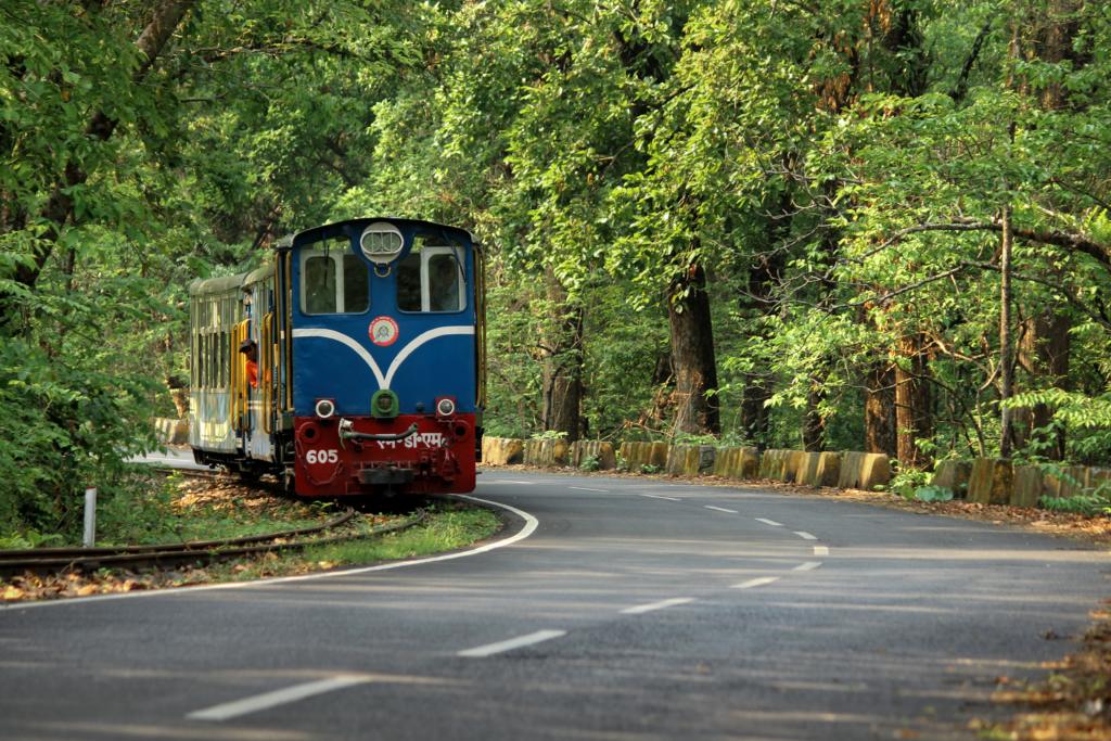 Darjeeling Himalayan Railway toy train in summer