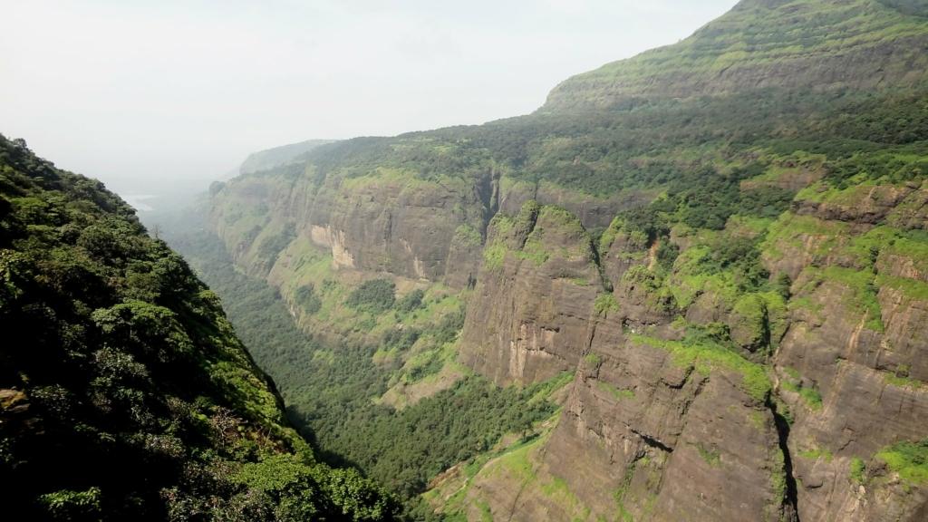 Image Credit: Vinay Nair via Flickr