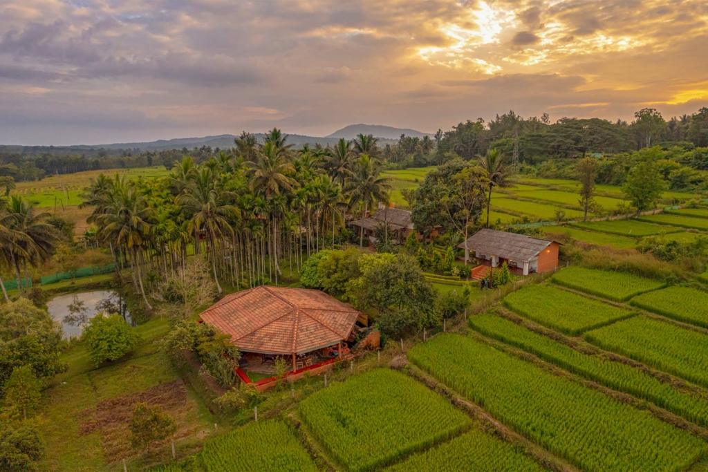 cottages in coorg - one of the places to visit near bangalore