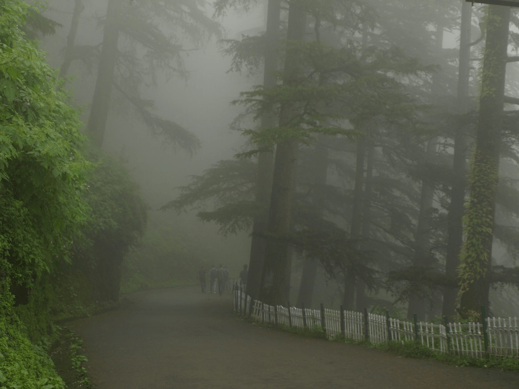 shimla in july