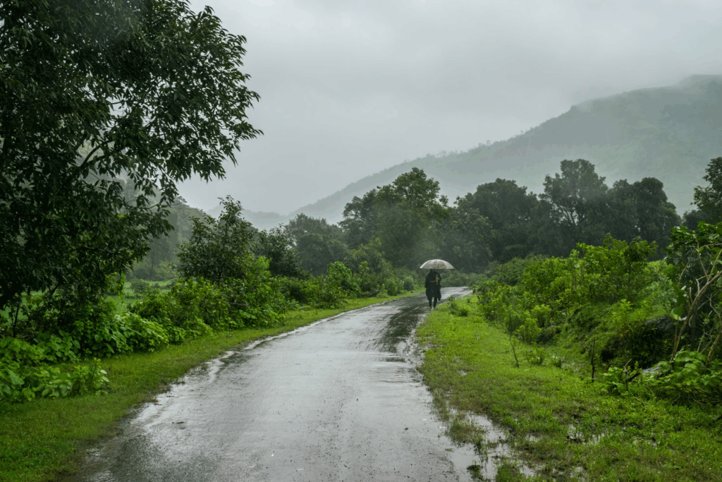 malshej ghat in monsoon