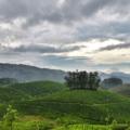 best munnar tourist places to visit