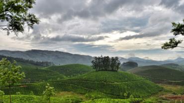 best munnar tourist places to visit