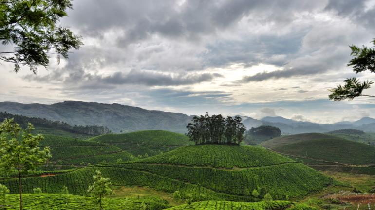 best munnar tourist places to visit