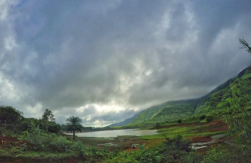 Image Credit: selvin kurian via flickr