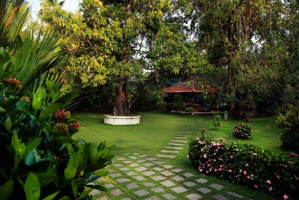 Family-friendly homestay in South India with adventure activities and spacious villas