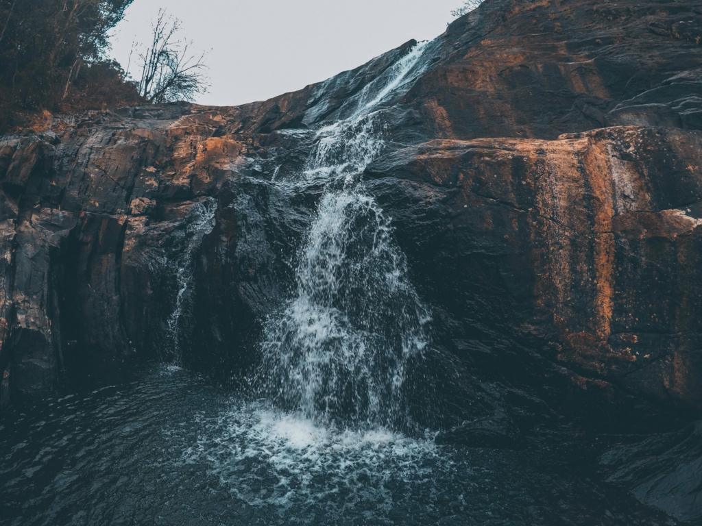 best time to visit Wayanad
