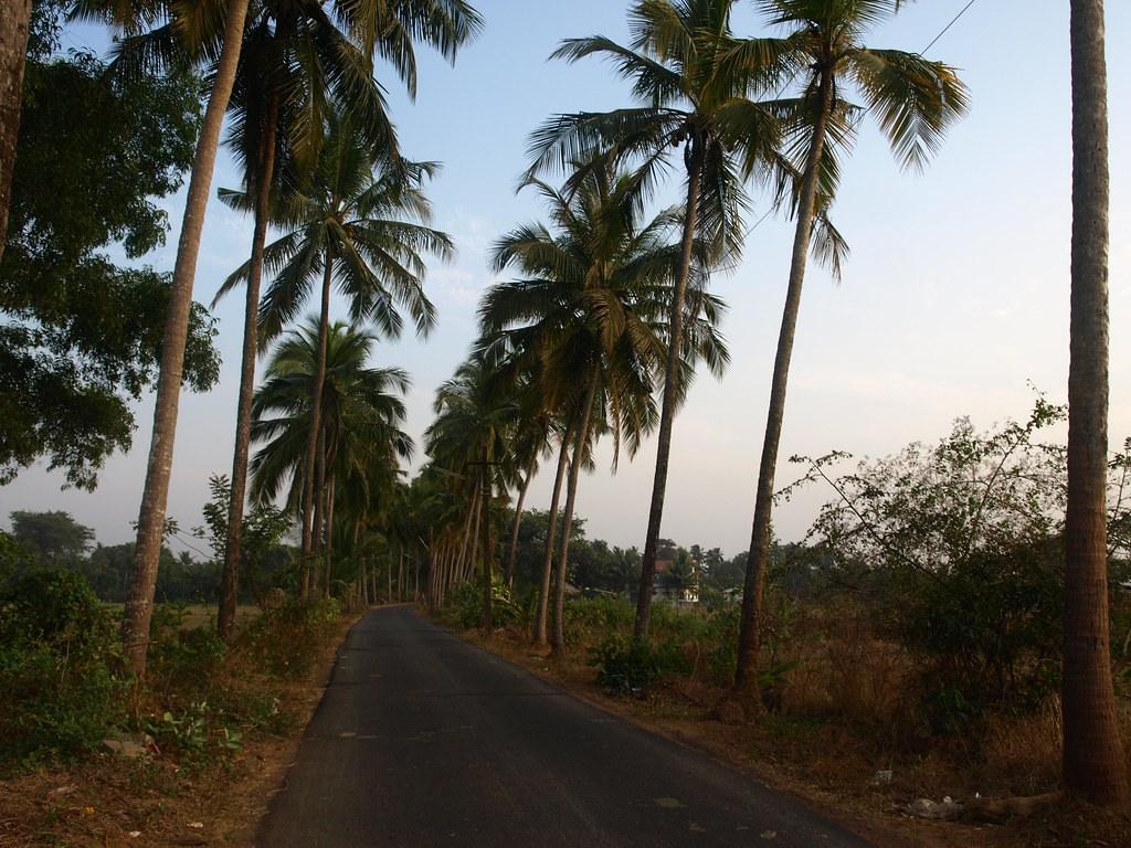 goa in monsoon