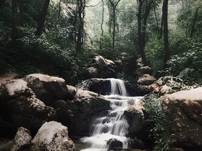 Image Credit: Ansh Jain via Unsplash, pachmarhi