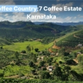 coffee estates in south india