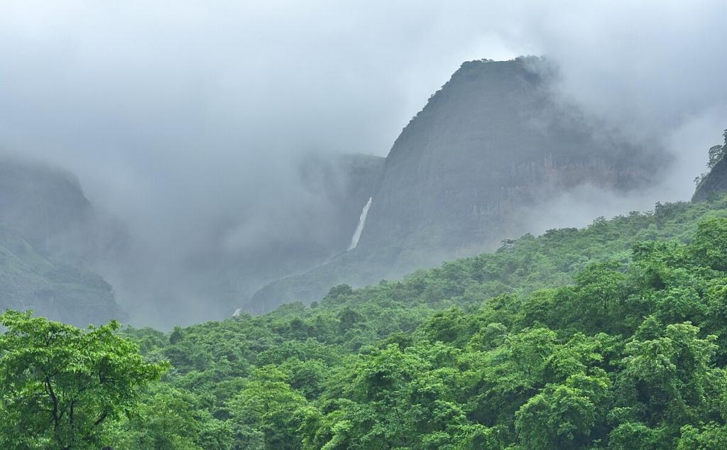Dense clouds and fresh greenery framing a monsoon trek in Maharashtra’s picturesque hills.