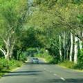 delhi to mussoorie road trip