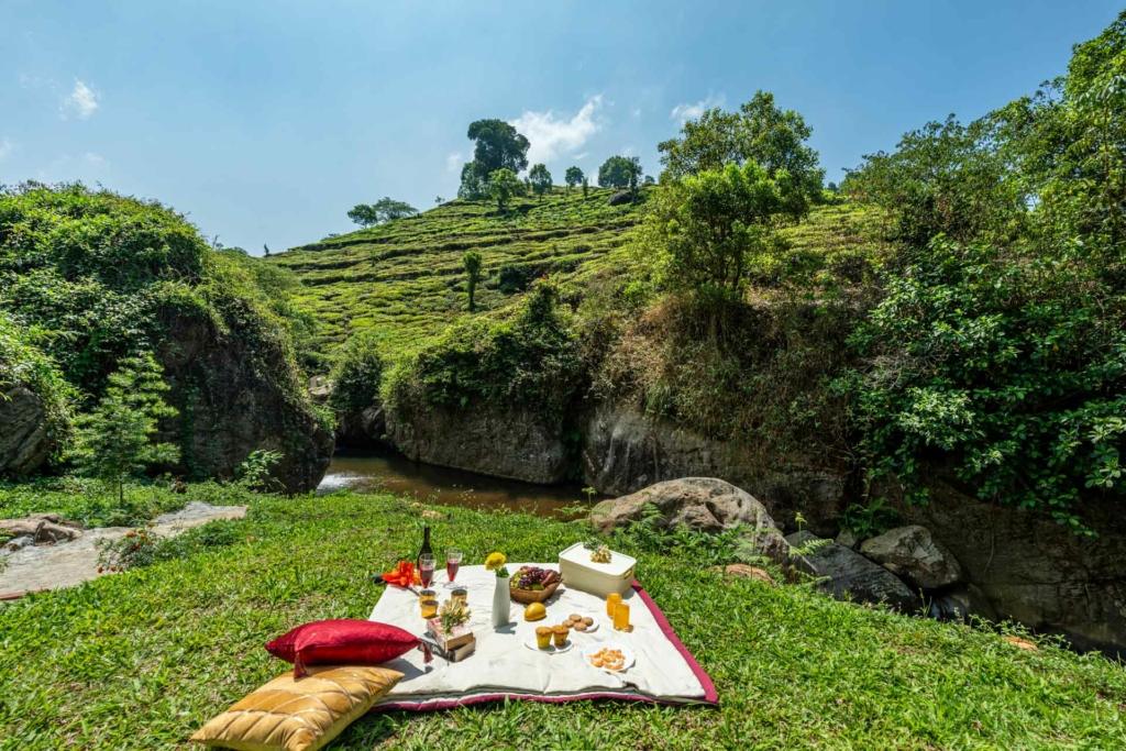 Luxury villa surrounded by greenery during monsoon in South India.
