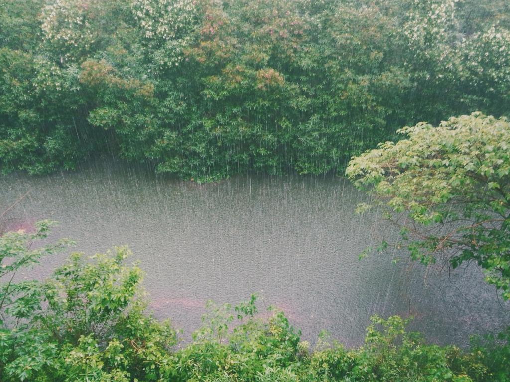 goa rains in july and august