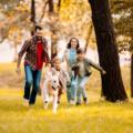 Luxury villas near Pune