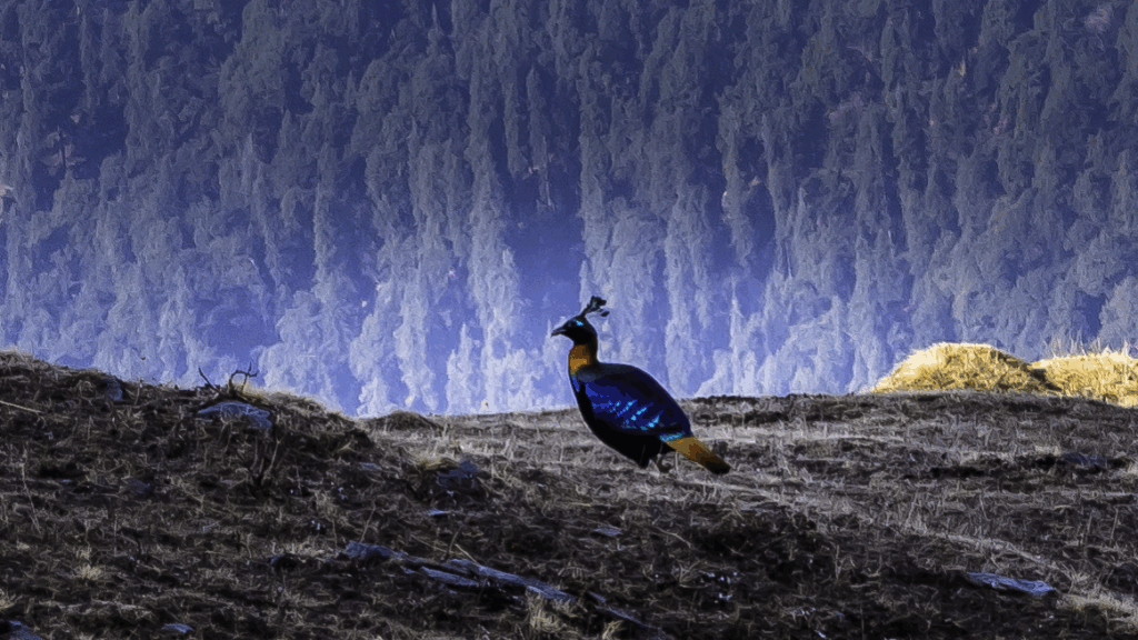 deorital lake near tungnath