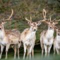things to do near Delhi