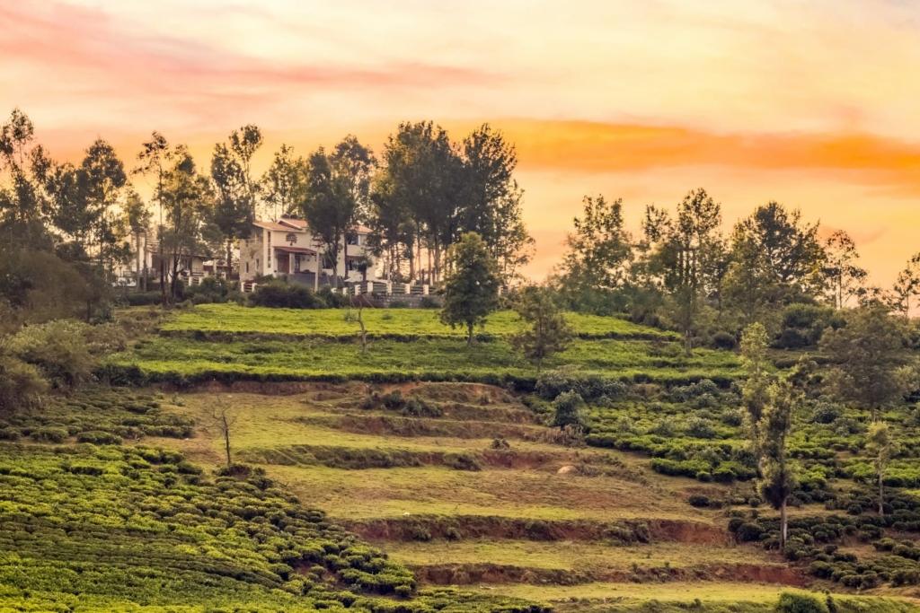 Cozy villa balcony overlooking misty landscapes during monsoon in South India