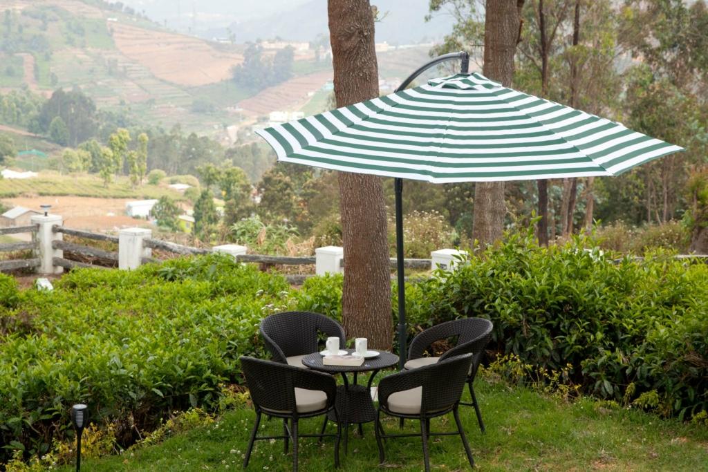 Cozy villa balcony overlooking misty landscapes during monsoon in South India