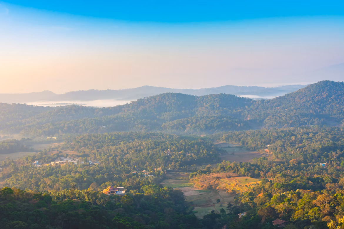 Image Credit: Aamir via unsplash