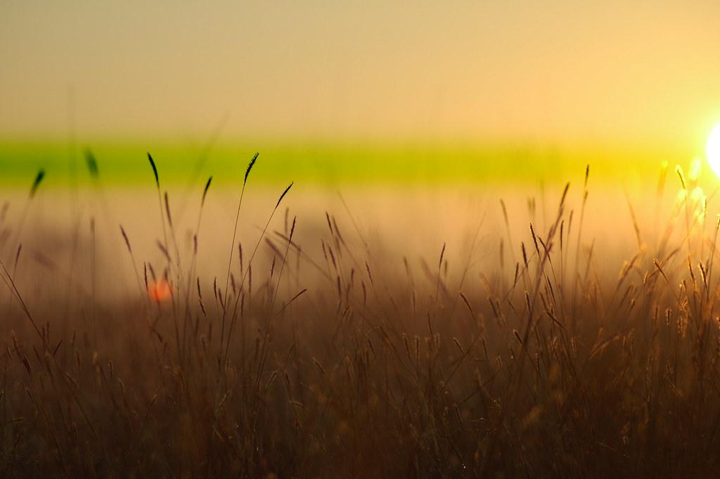 Image Credit: Adithya Devaguptapu via Flickr