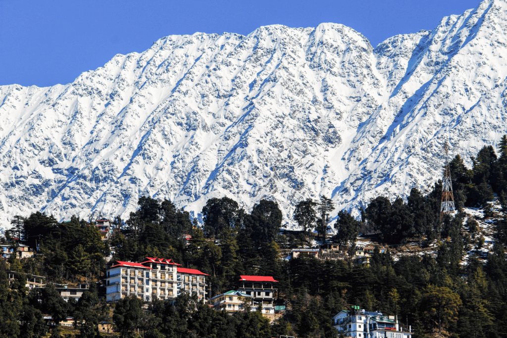 snow in dharamshala while on trip to dharamshala & mcleodganj