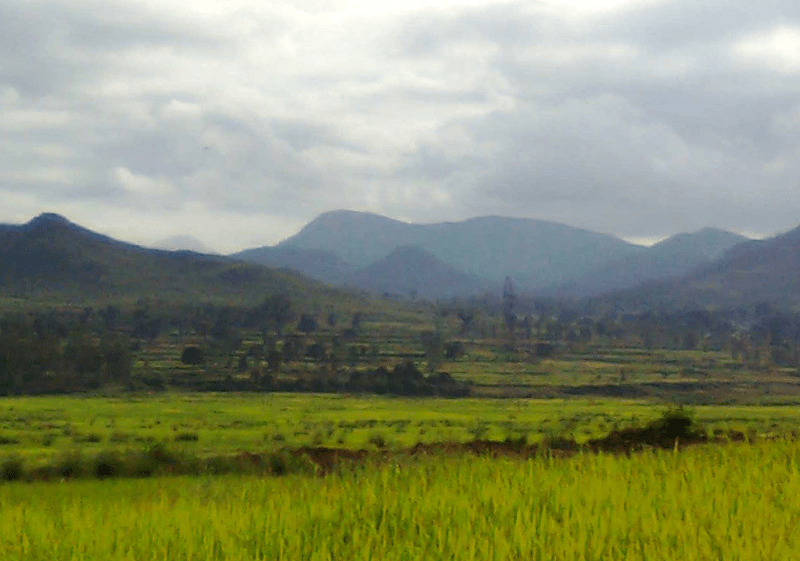 araku valley in monsoon