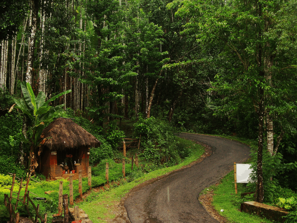 agumbe weather this monsoon
