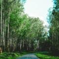 south India mein famous road trips