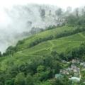 best time to visit Darjeeling