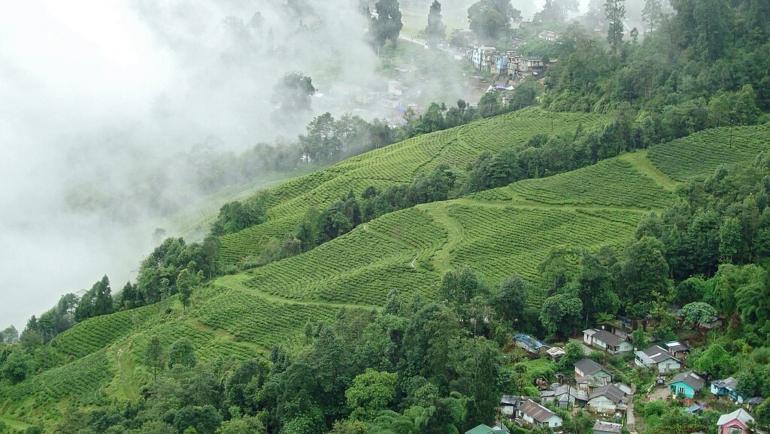 best time to visit Darjeeling