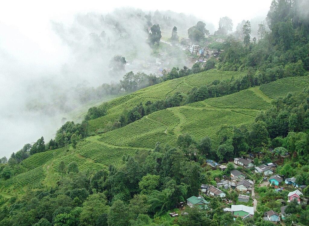 best time to visit Darjeeling