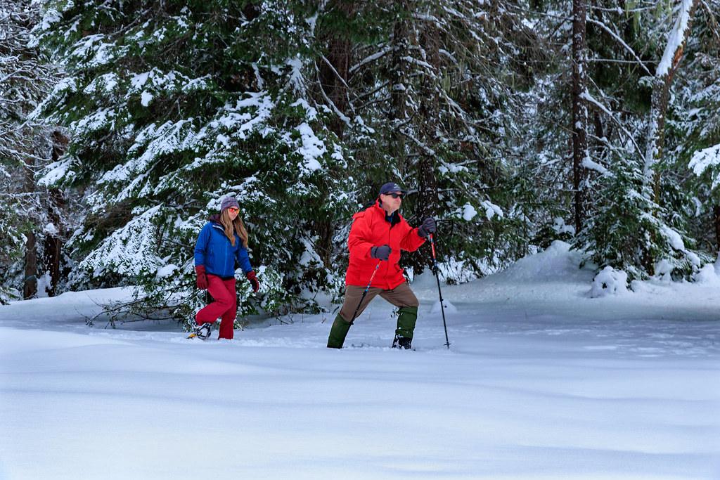 winter activities 