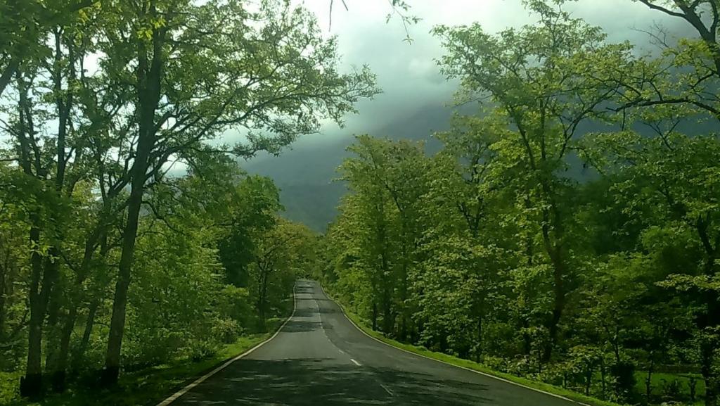 Malshej Ghat, best places to visit near Pune in monsoon