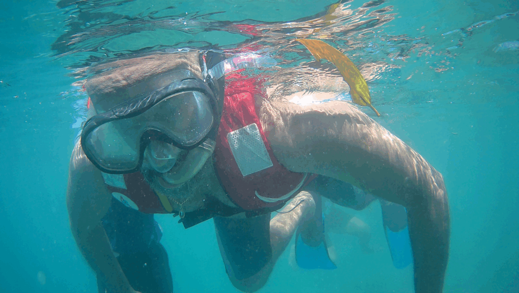 Scuba diving in clear waters near Havelock Island Andaman