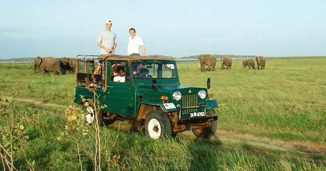 national park in india for jungle safari