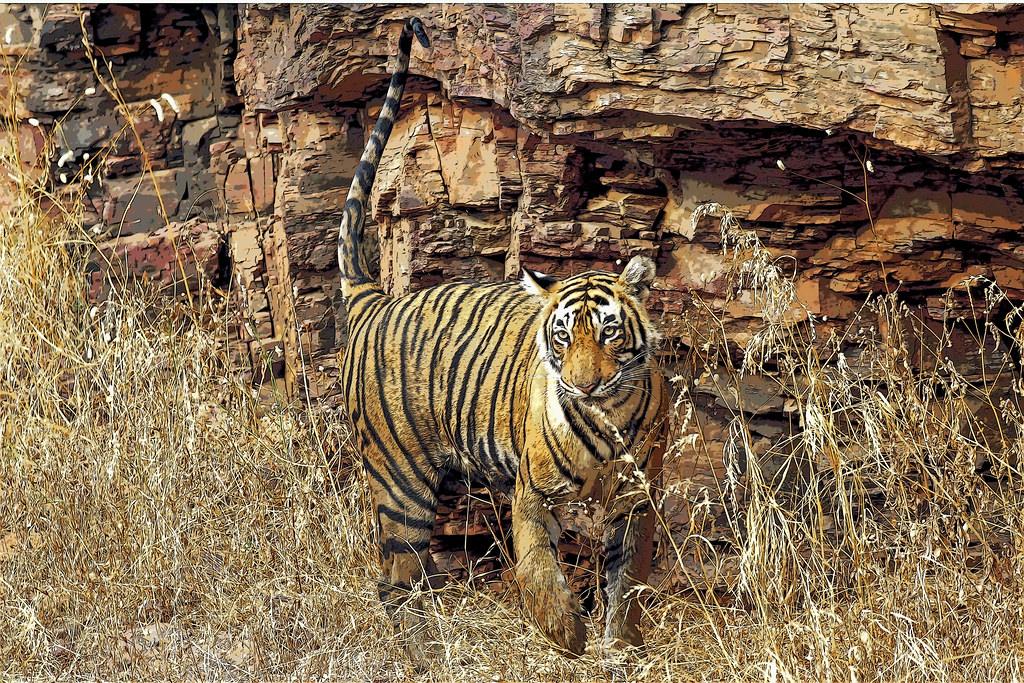 national parks in india