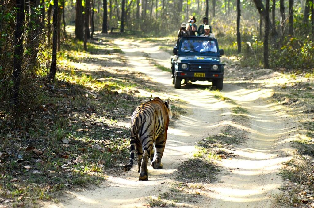 national parks in india