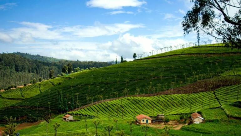 experience a relaxing coonoor stay