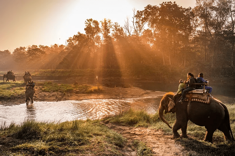 national parks in india