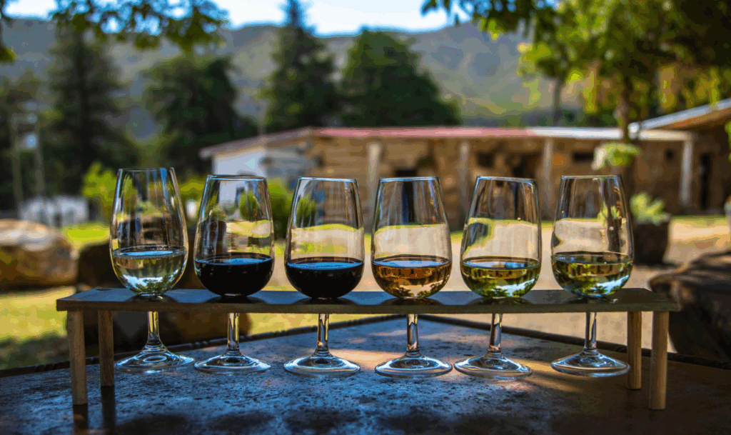 wine tasting session at vineyards in nashik