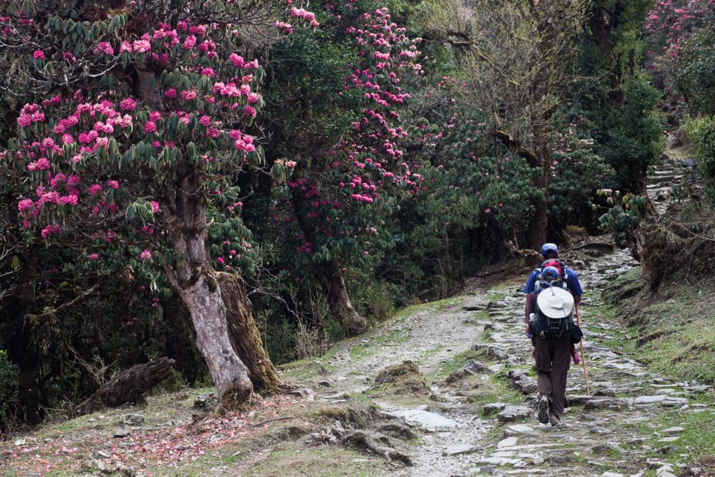 treks in arunachal pradesh