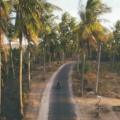 Parra Goa