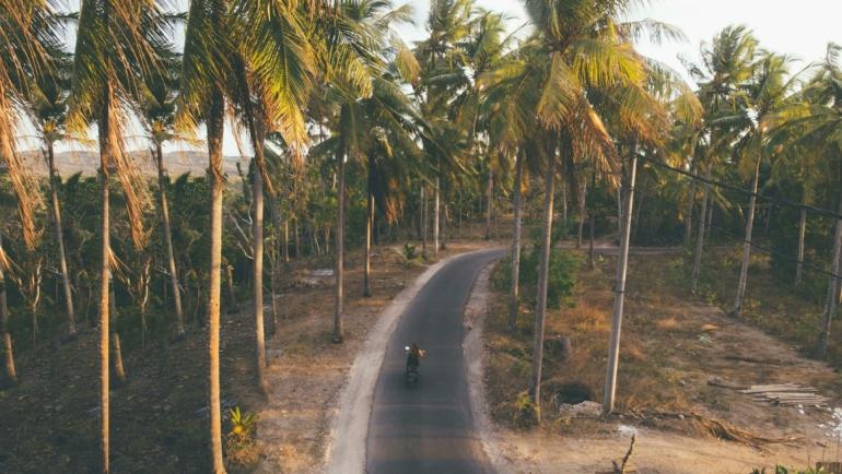 Parra Goa