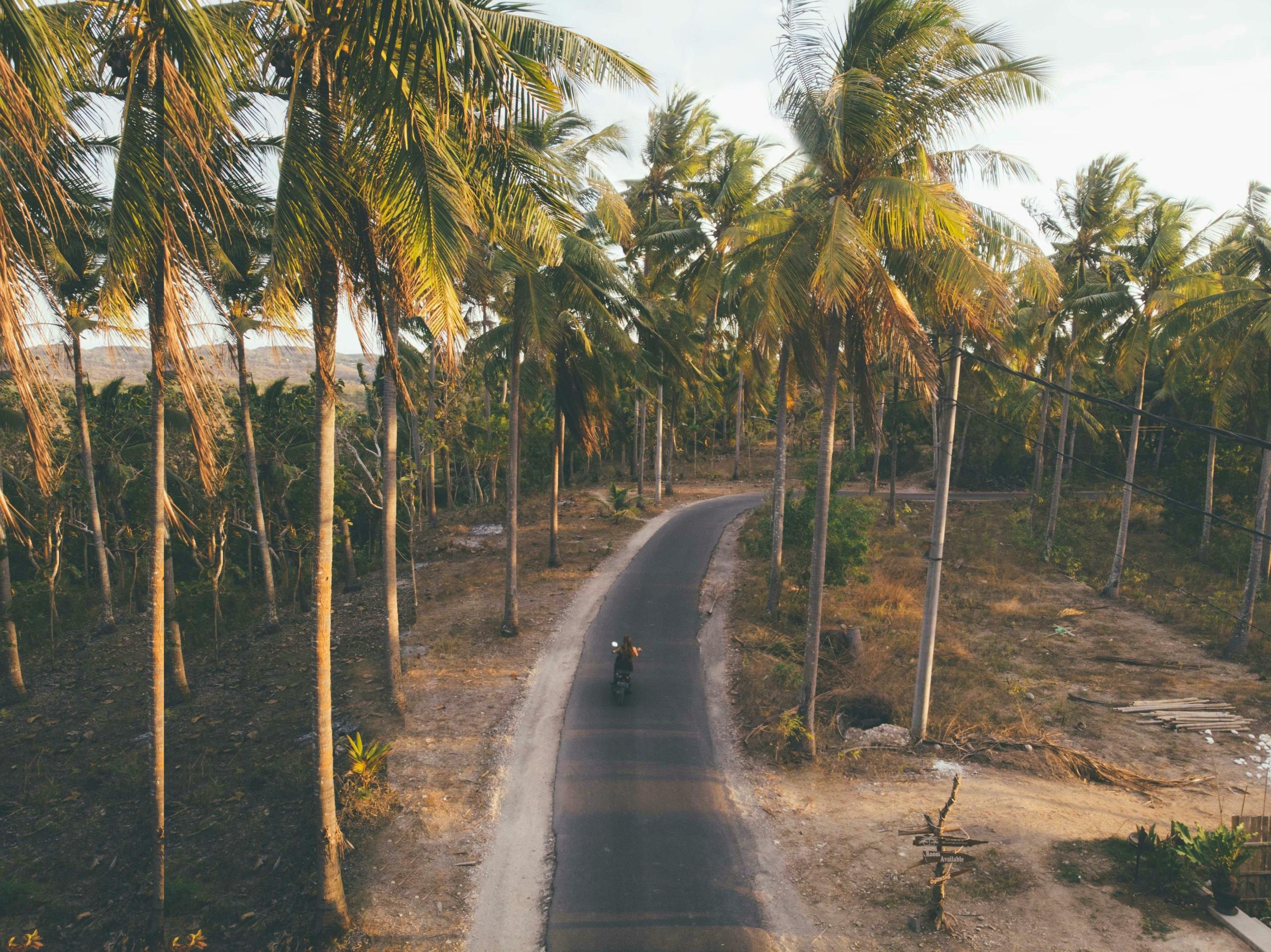 Parra Goa