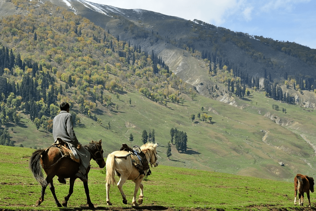 horse riding in pahalgam